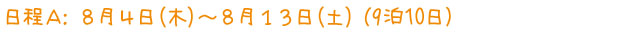 孤児院ワークキャンプ日程Ｃ(19泊20日)