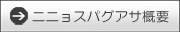 ニニョスパグアサ概要