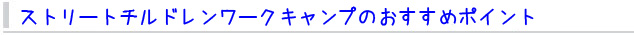 ストリートチルドレンワークキャンプのおすすめポイント