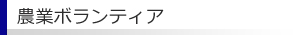 農業ボランティア
