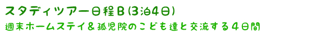 孤児院･ストリートチルドレンとの交流＆ゴミ山訪問フィリピン短期スタディツアー日程Ｂ(3泊4日)　週末ホームステイ＆孤児院のこども達と交流する４日間